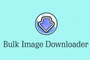 Bulk Image Downloader Crack 5.97.0 With Serial Key Free Download